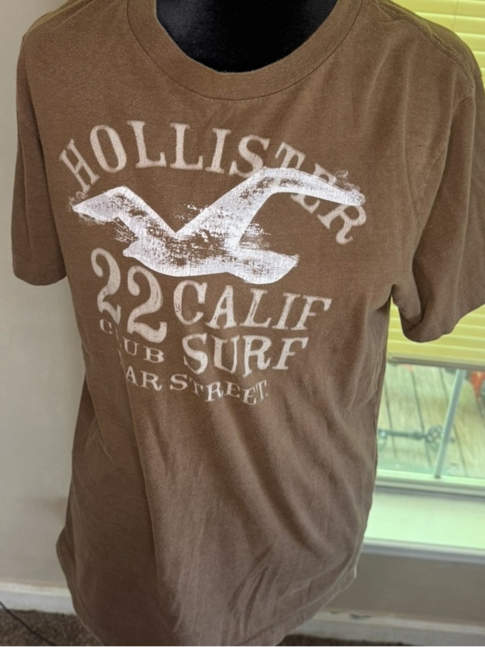 brown hollister tee